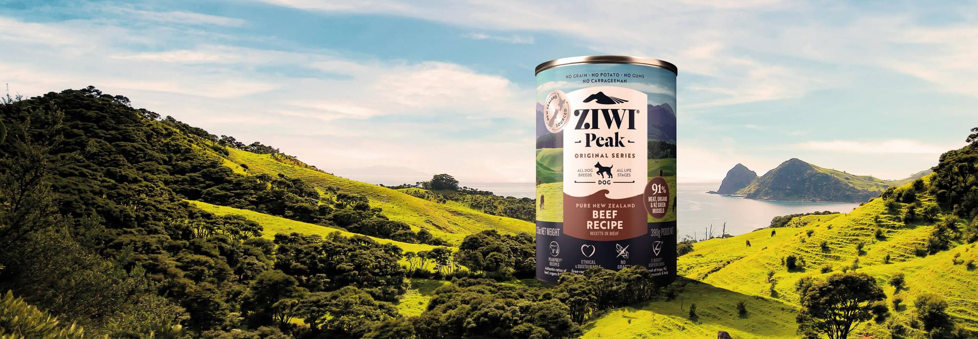 Canned wet recipes for dogs banner