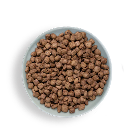 Steam & Dried recipes Steam & Dried recipes