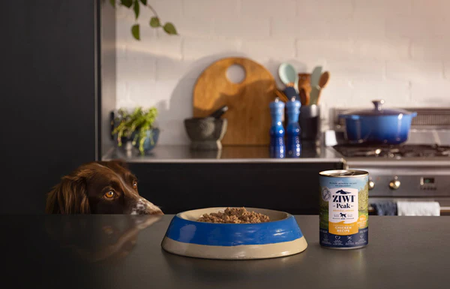 2. Add a nutritious mixer 2. Add a nutritious mixer