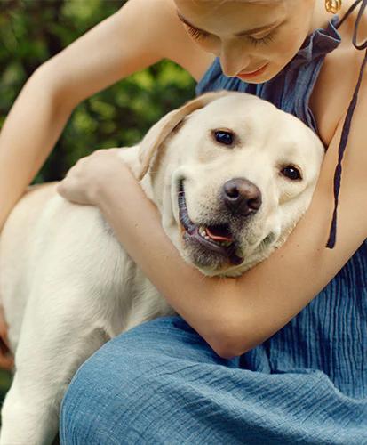 a woman in a blue dress is hugging a white dog .