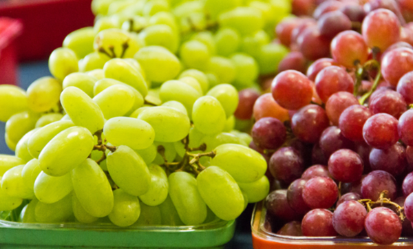 Fresh grapes arranged, commonly known to be harmful to dogs Fresh grapes arranged, commonly known to be harmful to dogs