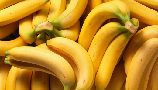 Can dogs eat bananas? Health benefits and feeding tips Can dogs eat bananas? Health benefits and feeding tips