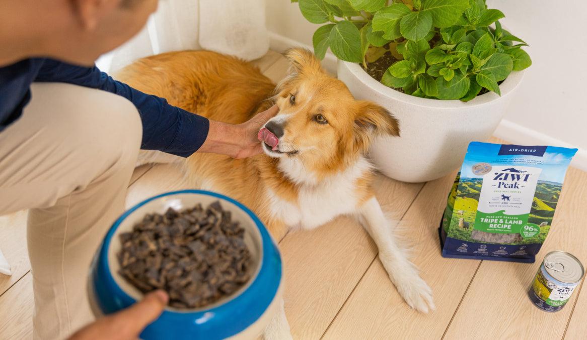 How to feed