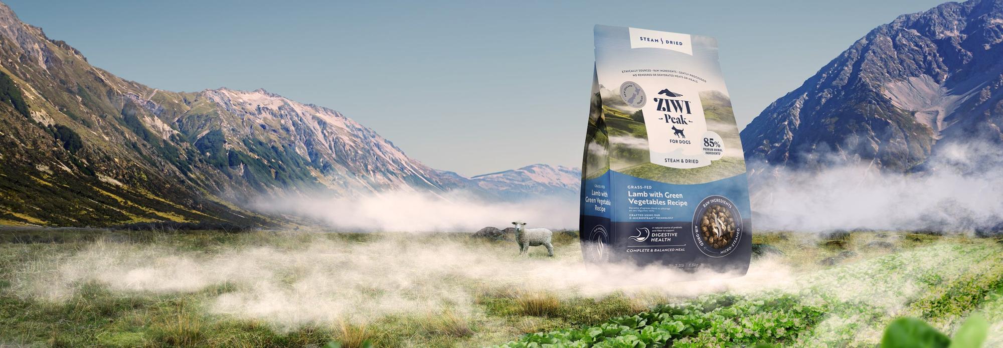 Steam & Dried dog food banner Steam & Dried dog food banner