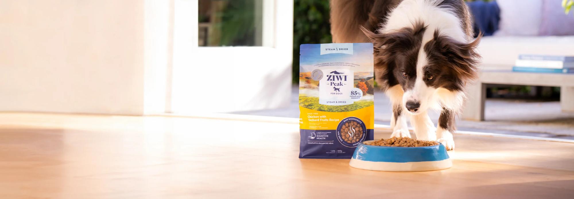 All dog food banner