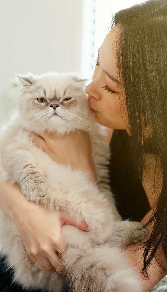 How to feed 3 How to feed 3