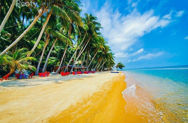 Hình ảnh bài viết Ăn gì ở Hòn Sơn? Bỏ túi ngay danh sách các món hải sản siêu ngon