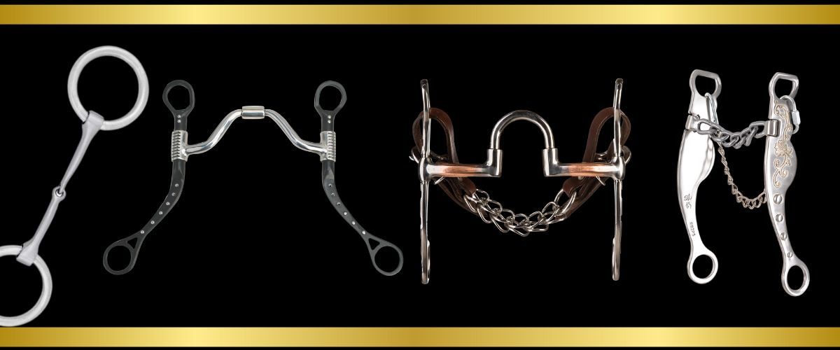 Different horse bit mouthpiece designs