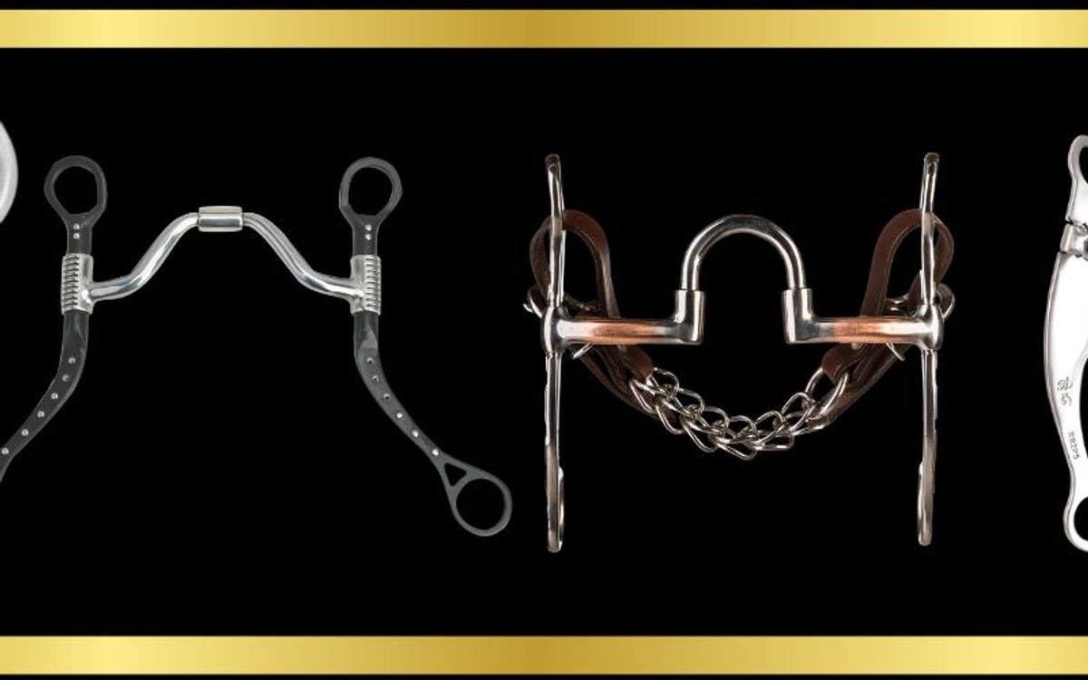 Different horse bit mouthpiece designs