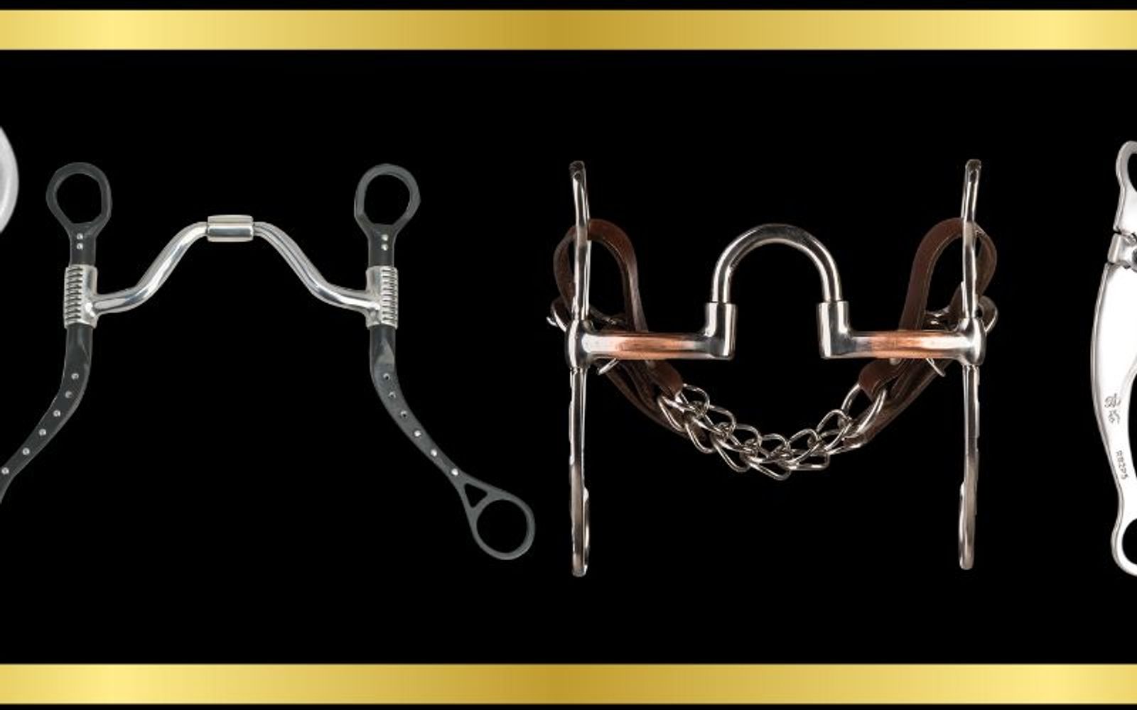 Different horse bit mouthpiece designs
