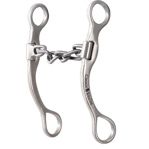 Chain mouthpiece horse bit