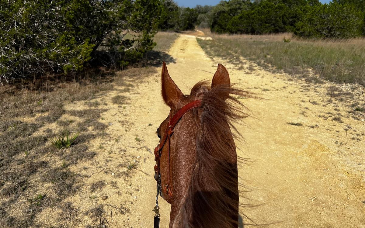 Switching Bits- Testing Trail Riding Bits on a Seasoned Horse
