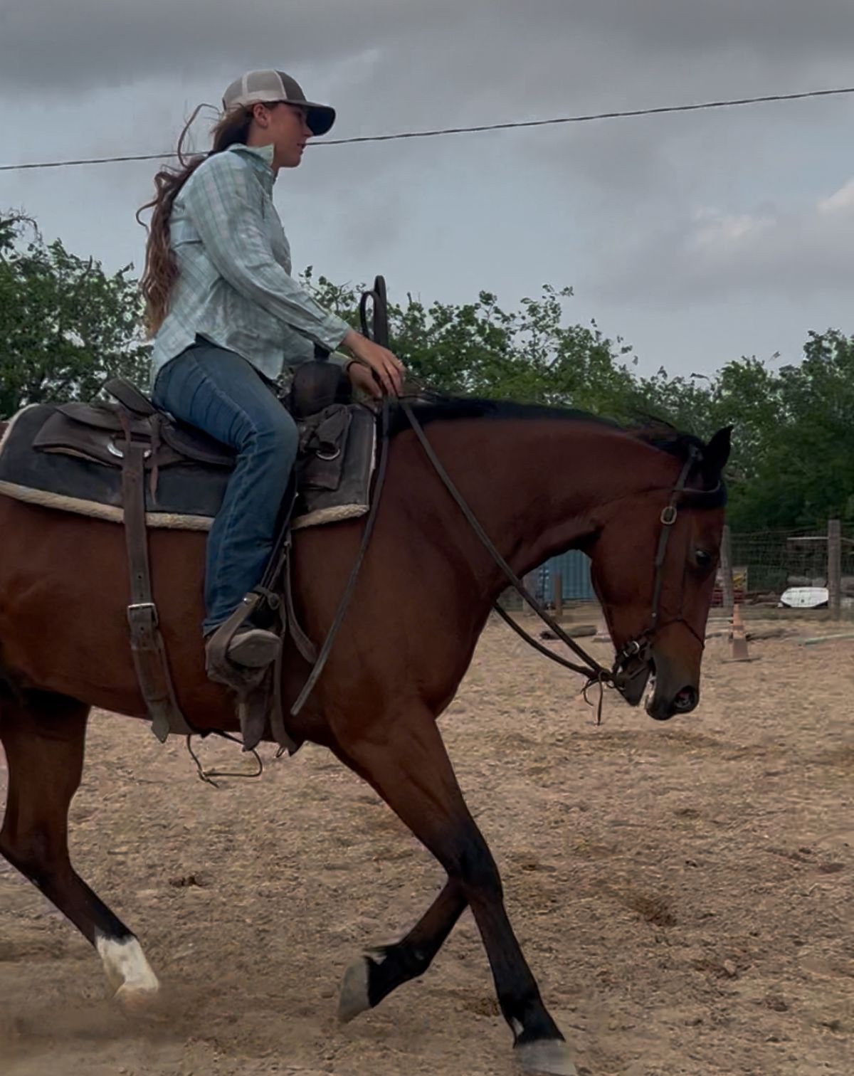 Horse reacting negatively to bit pressure