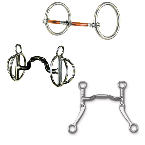 From top to bottom: Reinsman Traditional Loose Ring Snaffle, Reinsman Rockin S, Myler Flat Shank with Sweet Iron Forward Tilt Port,