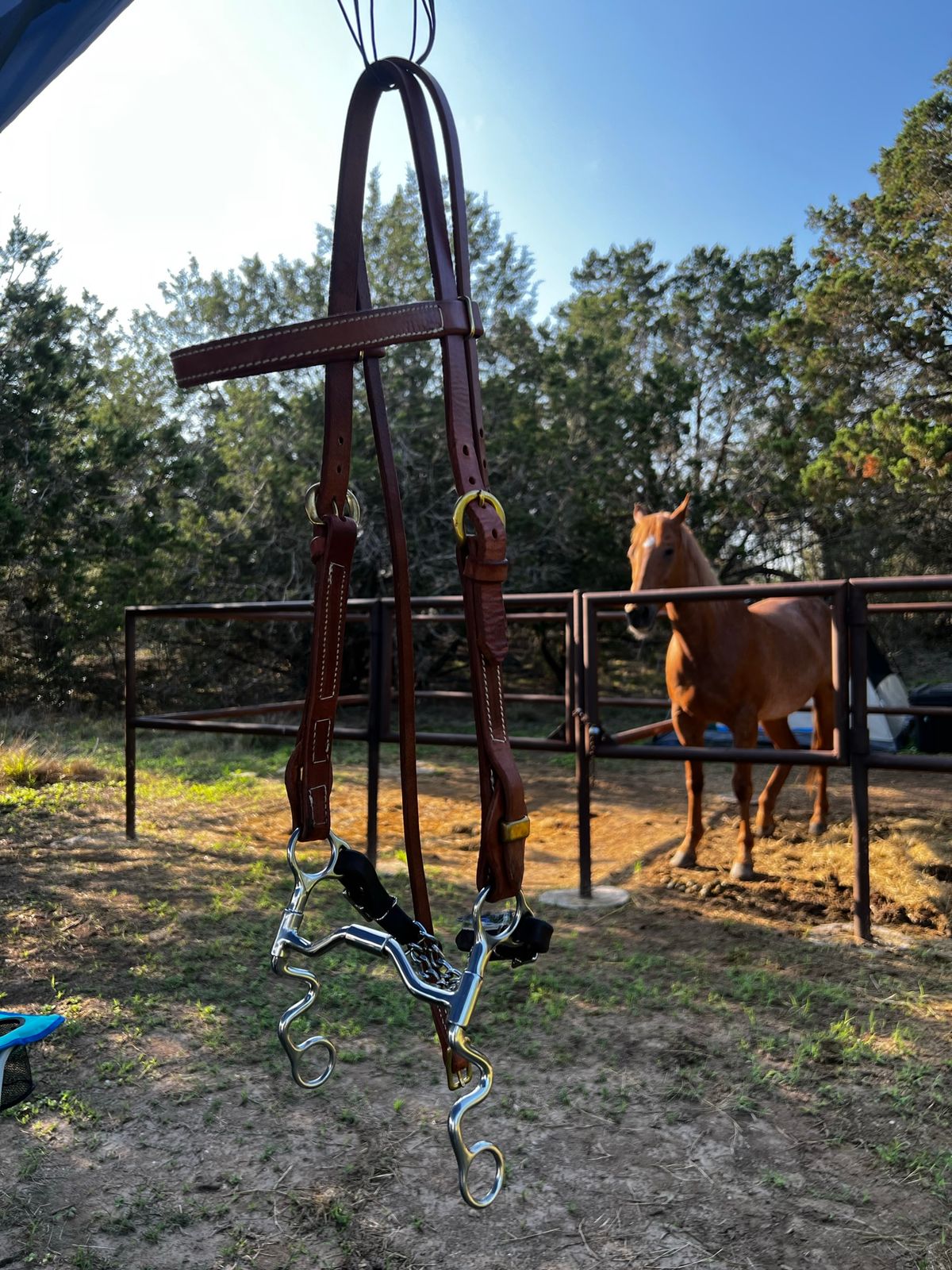 Toklat S shank medium wide ported barrel (88-68405)- A great trail riding bit for a seasoned horse.