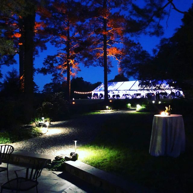 A clear-top event tent with uplighting through surrounding pines