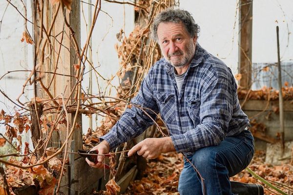 Bild von Valentin Blattner