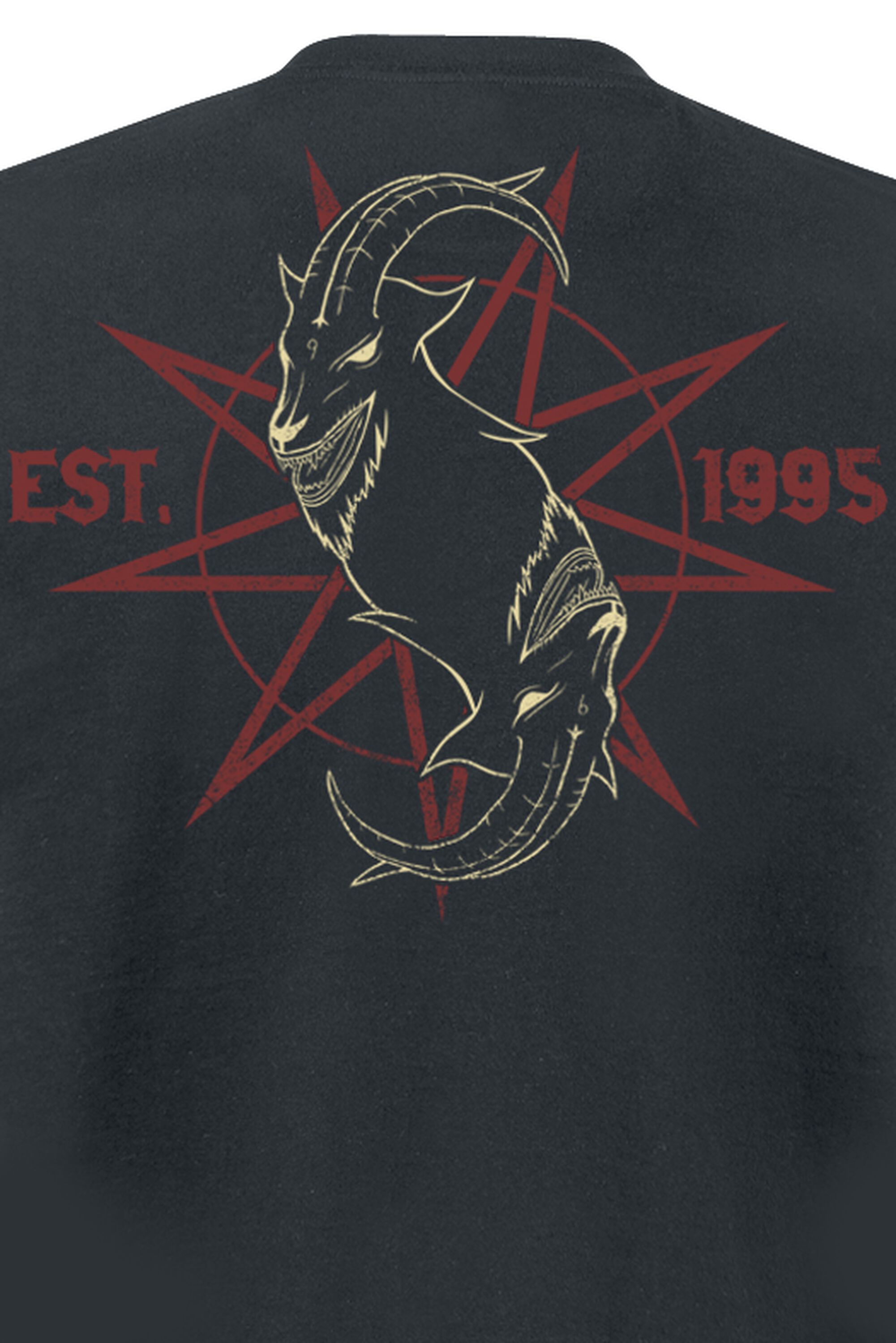 Iowa Des Moines T-Shirt