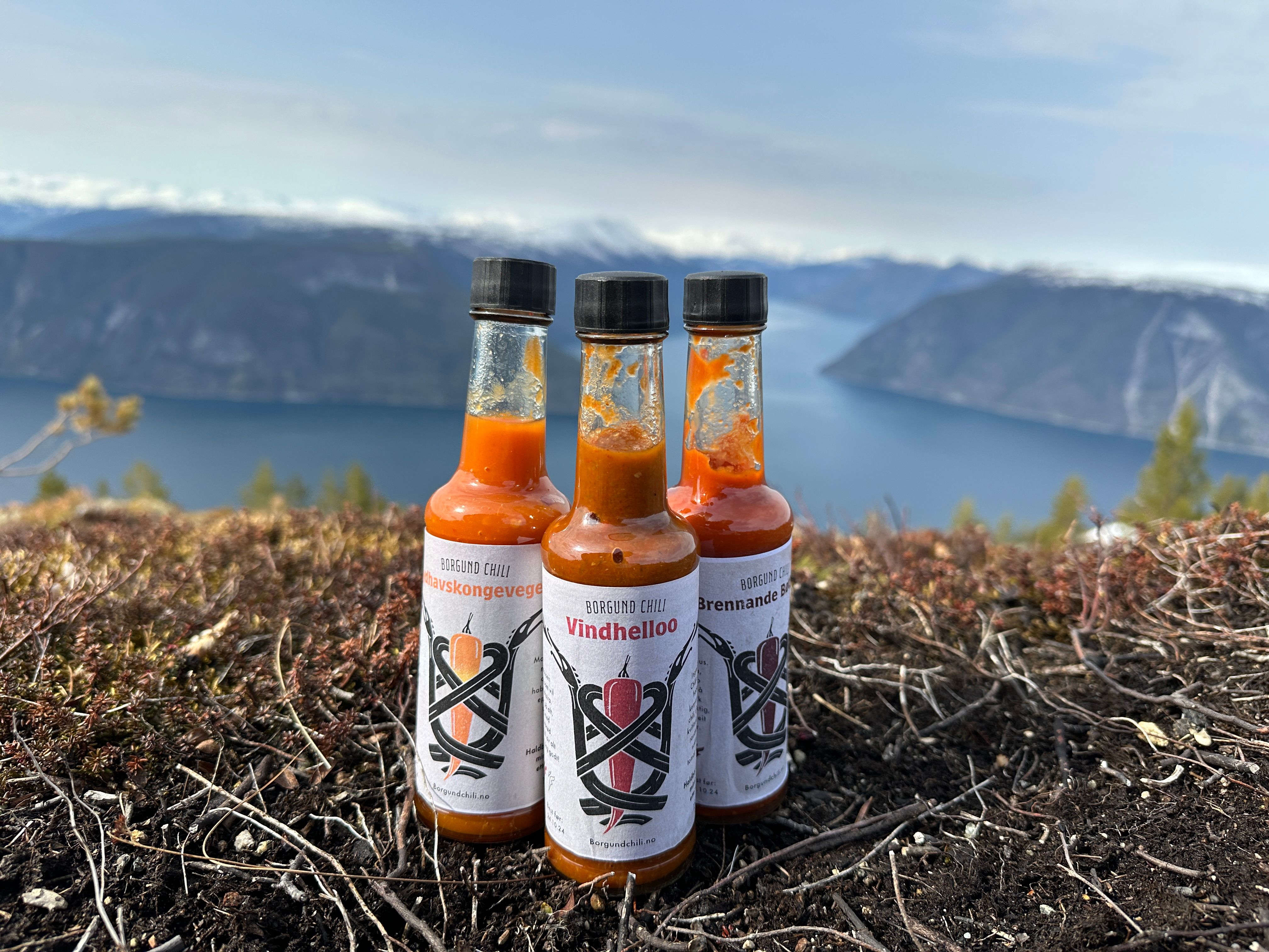 Bilde av tre sauser fra Borgrund Chili med en fjord i bakgrunnen