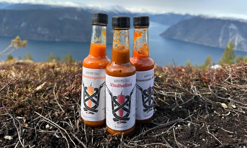 Bilde av tre sauser fra Borgrund Chili med en fjord i bakgrunnen