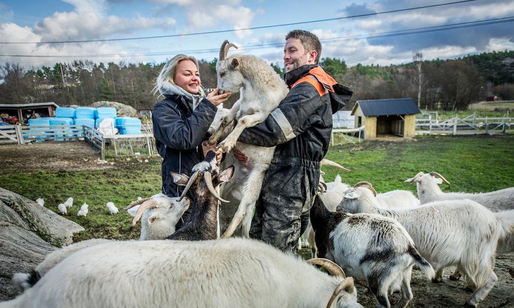 Bilde av Anette og Andreas sammen med geitene på Dale Store gård