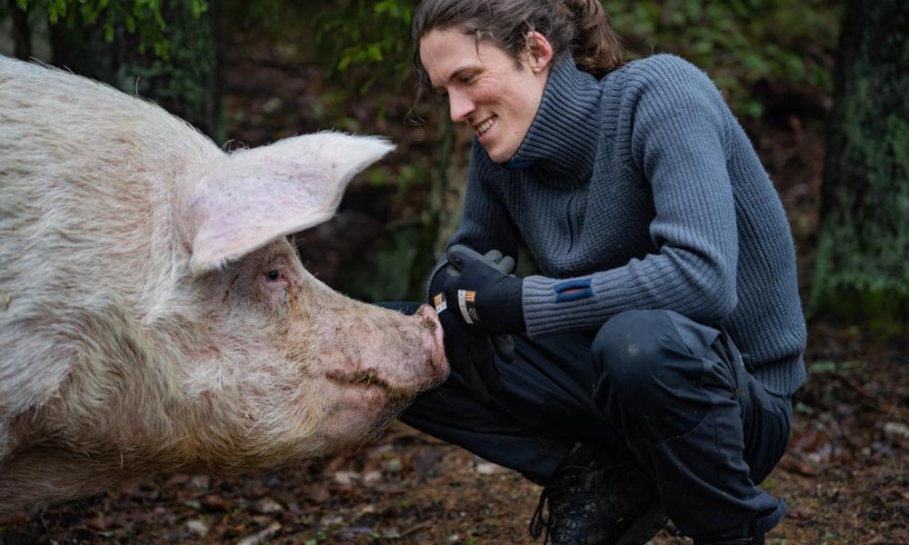 Bilde av Tor som hilser på en gris