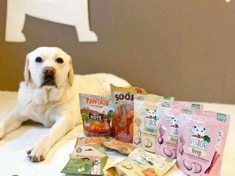 Bilde av hund som ligger ved siden av Eco Pets-produkter