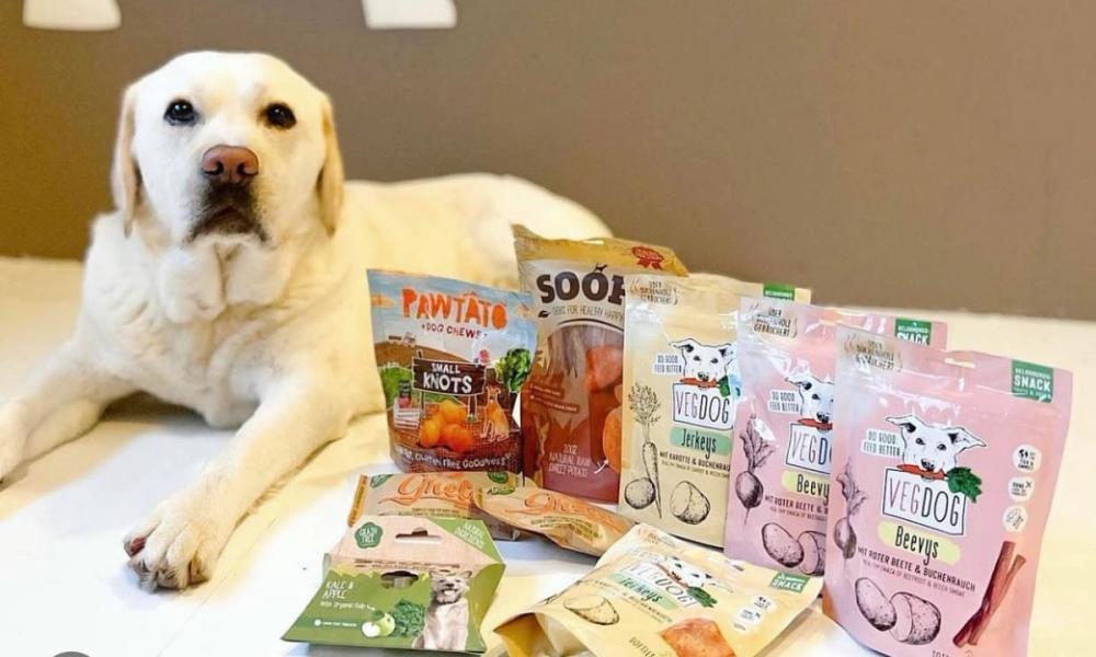Bilde av hund som ligger ved siden av Eco Pets-produkter
