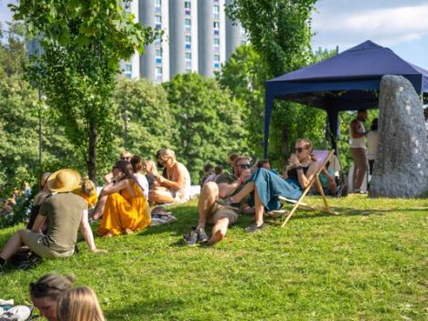 Folk som slapper av på gresset i sola