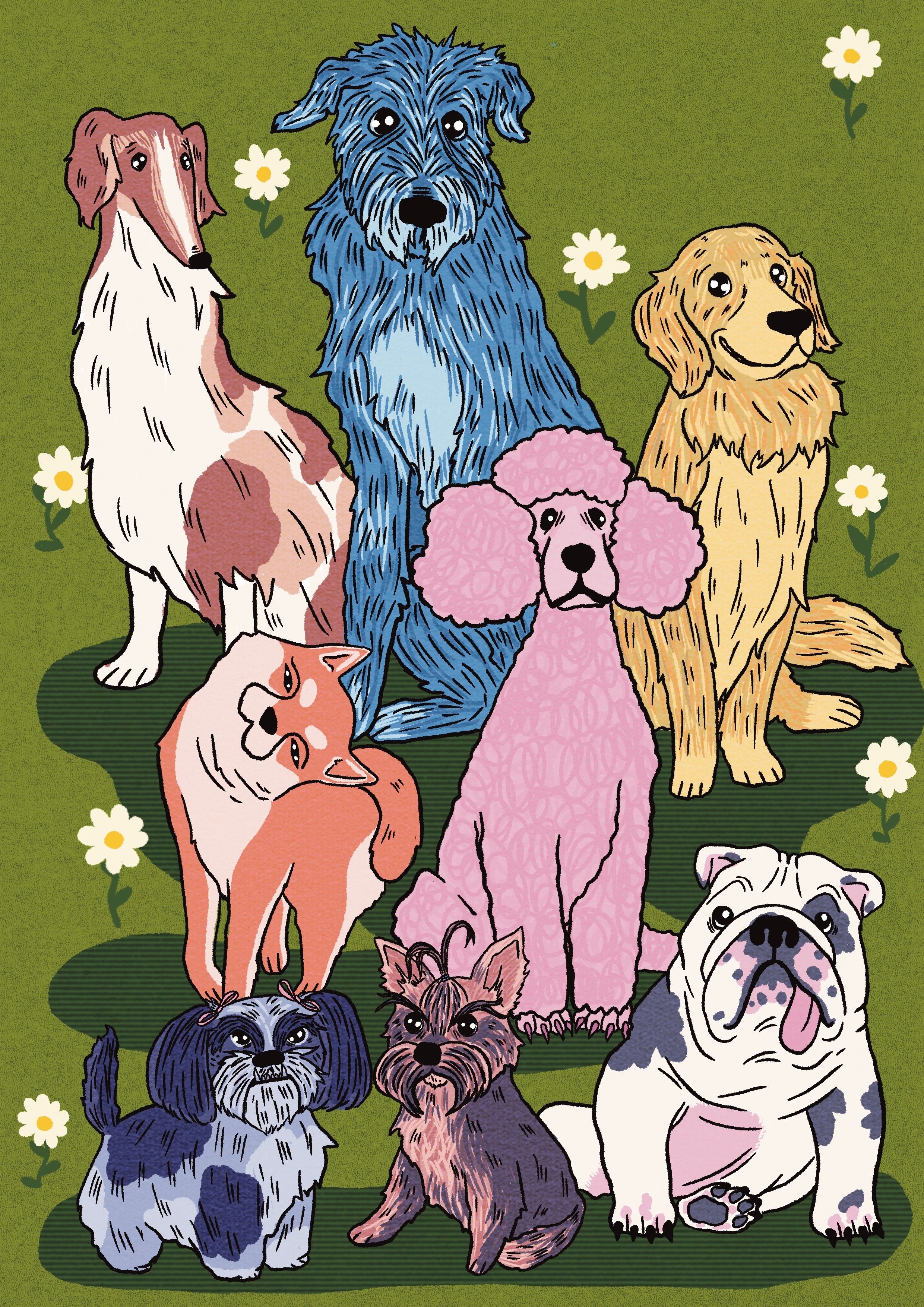 Portretter av hunder 