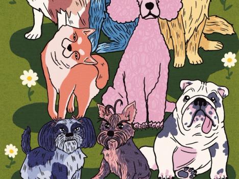 Portretter av hunder