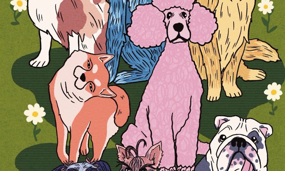 Portretter av hunder