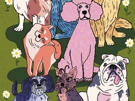 Portretter av hunder