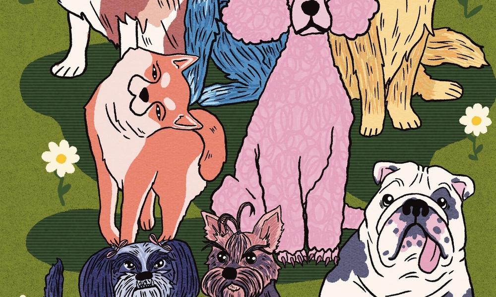 Portretter av hunder