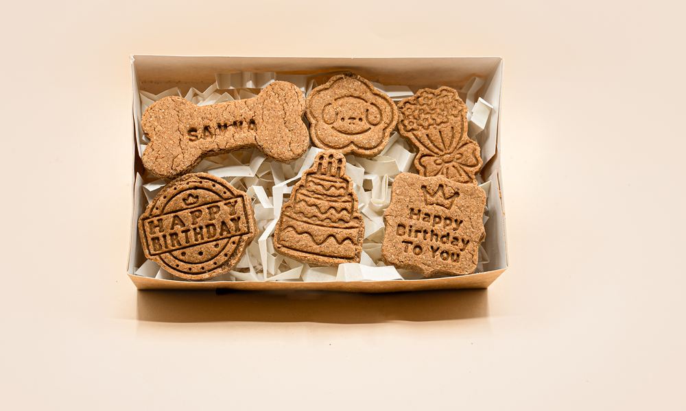 Håndlaget hundekjeks i en boks