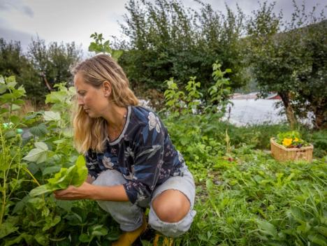 Kvinne ute i naturen som plukker planter