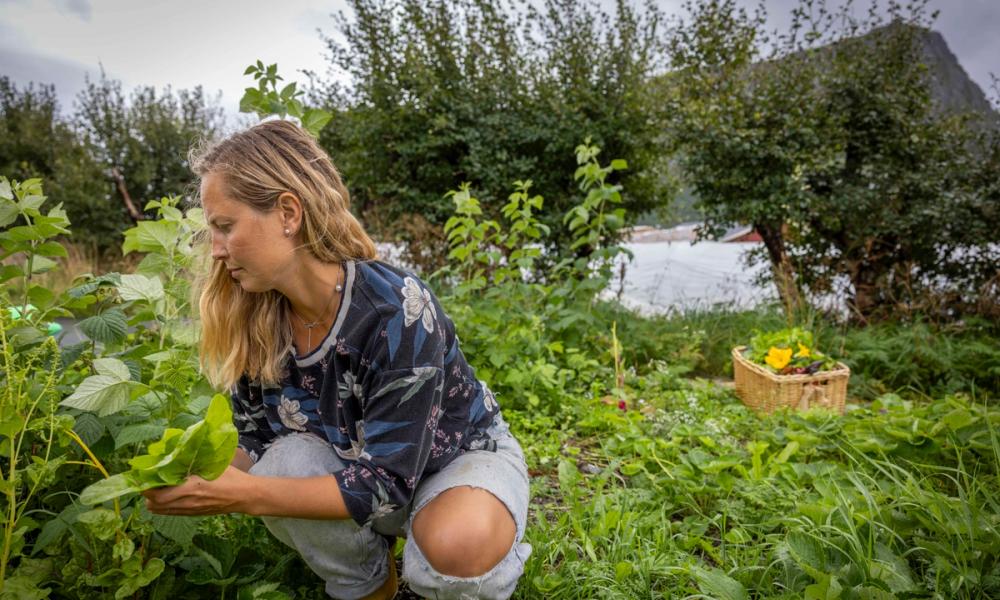 Kvinne ute i naturen som plukker planter