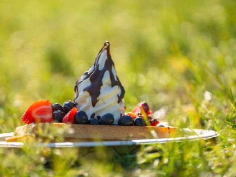 Belgisk vaffel med iskrem, sjokoladesaus jordbær og blåbær fra Vafleriet. Foto: Mira Wickman