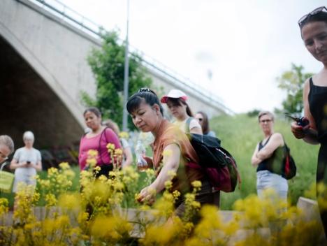 Folk som plukker blomster
