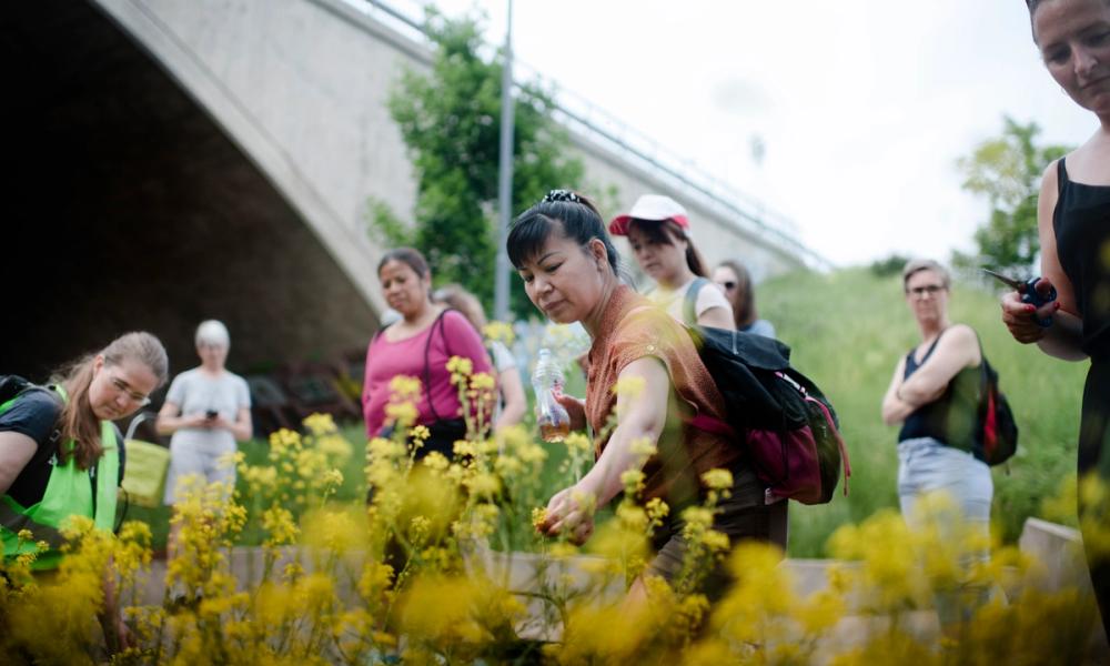 Folk ser på gule planter på marked