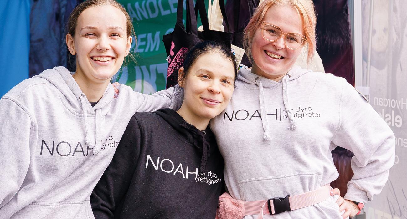 Tre smilende unge kvinner ser i kamera og koser seg på festival