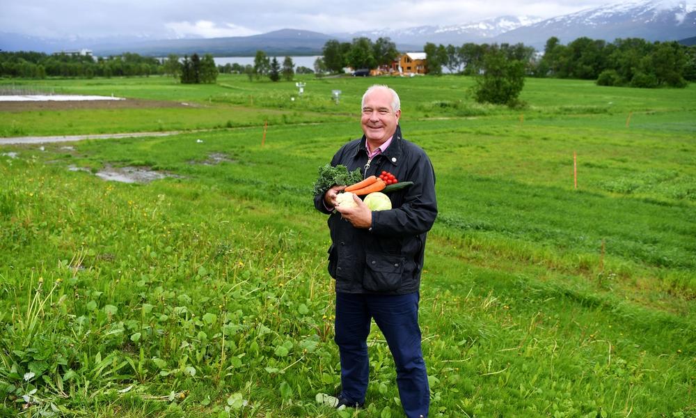 Bilde av Øyvind Fylling-Jensen fra Nofima i en åker, med grønnsaker i armene.. 