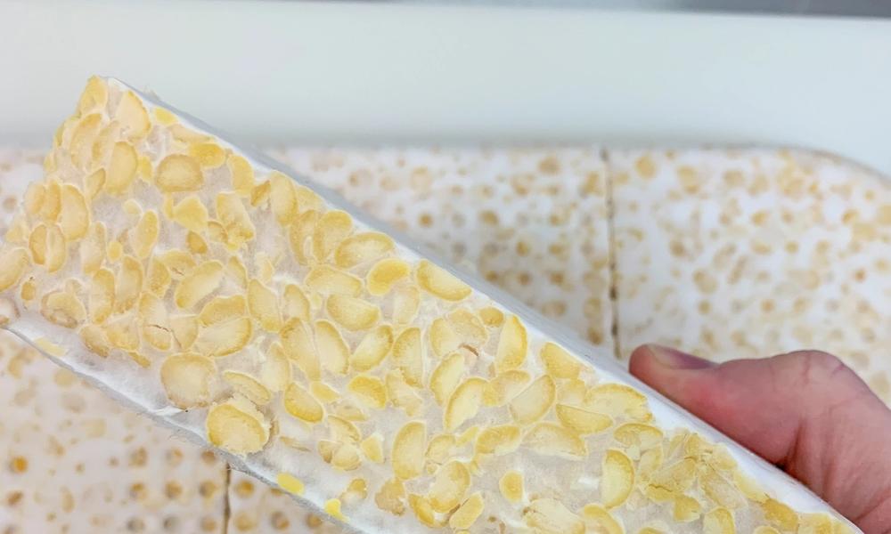 Bilde av en blokk med tempeh