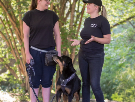 To kvinner snakker sammen og det står en hund imellom dem