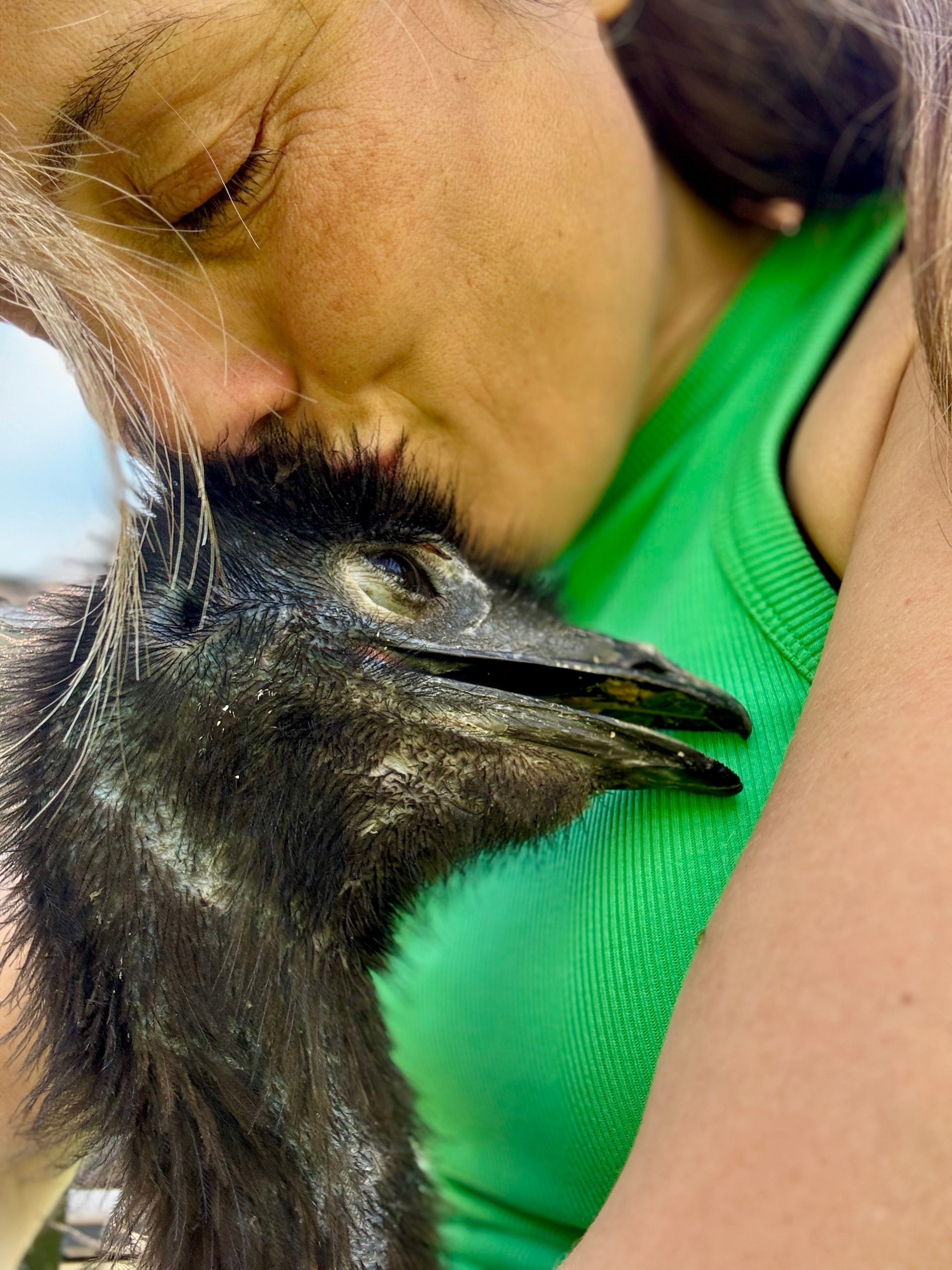 Kvinne koser med en emu