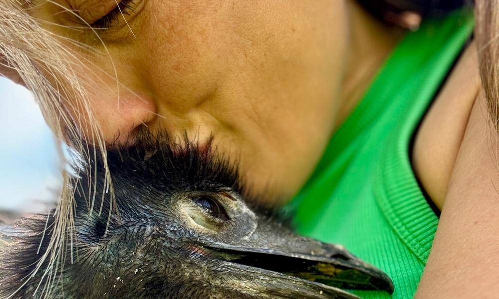 Kvinne koser med en emu