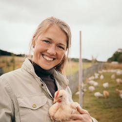 Une holder en kylling