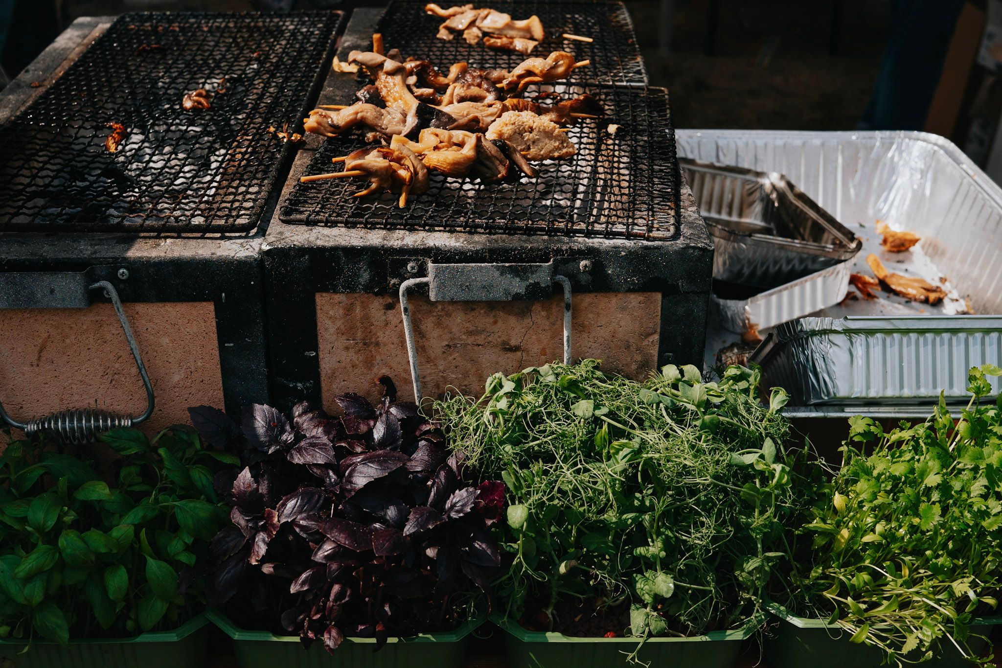 Bilde av sopp på grillen og vekster ved siden av