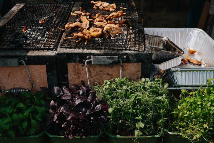 Bilde av sopp på grillen og vekster ved siden av