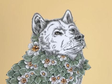 En illustrasjon av en ulv, med halsen dekket av blomster og blader.